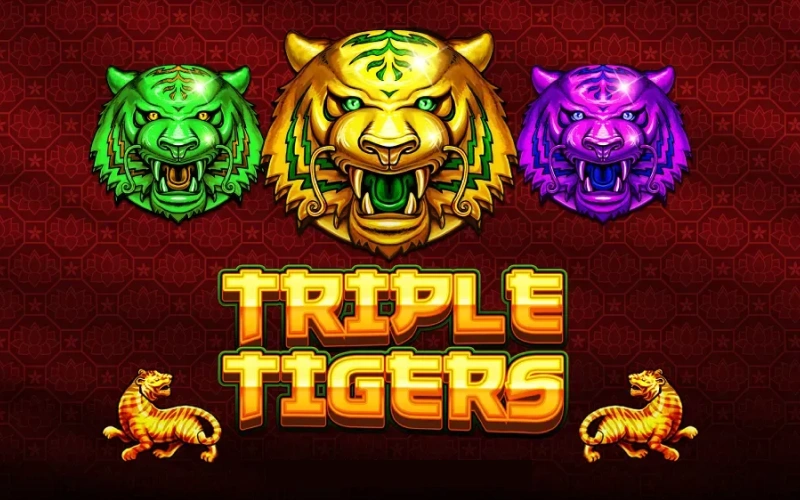Start playing the Triple Tigers game at 1win India for big rewards.